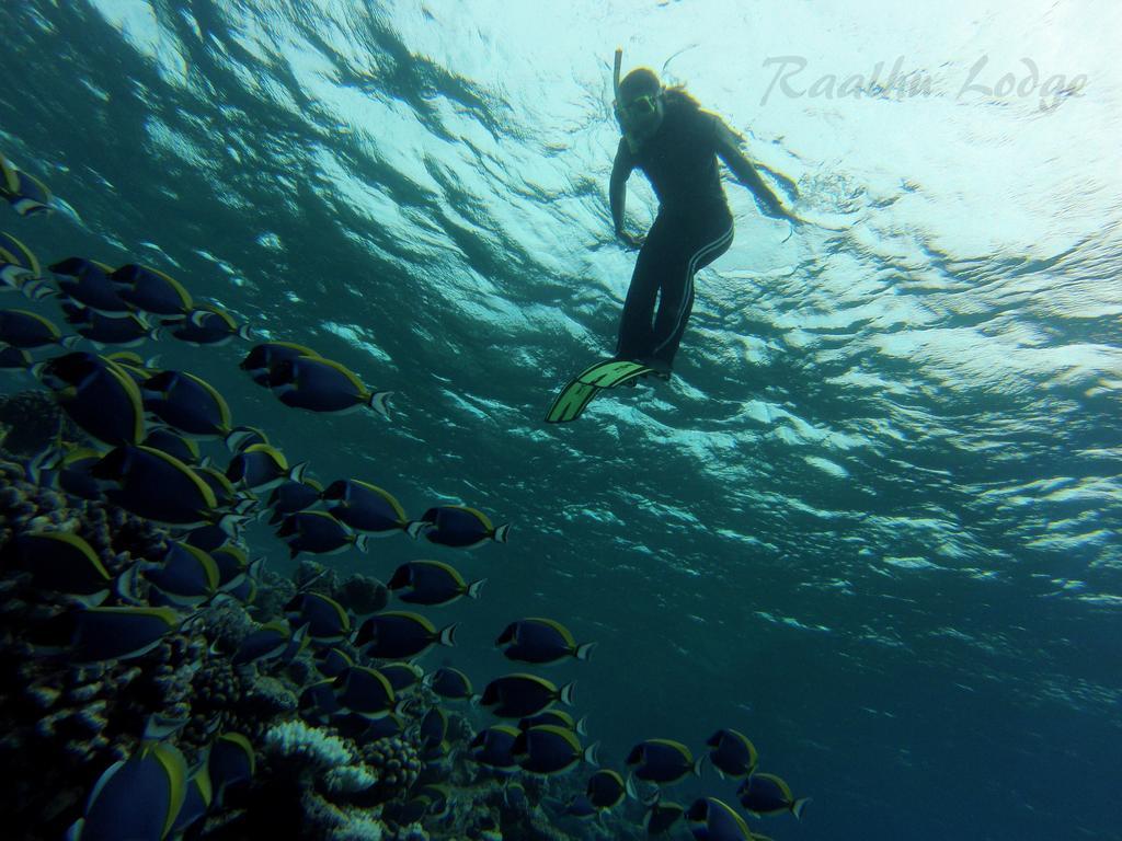 Raalhu Lodge ฮิมมาฟูชิ ภายนอก รูปภาพ