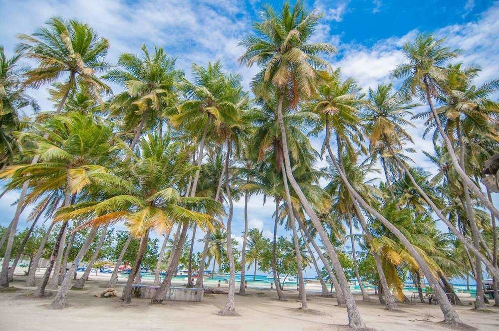 Raalhu Lodge ฮิมมาฟูชิ ภายนอก รูปภาพ